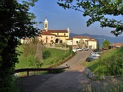 Mi son goduto la peonia dello Zucco e non solo ! – 23magg23 - FOTOGALLERY